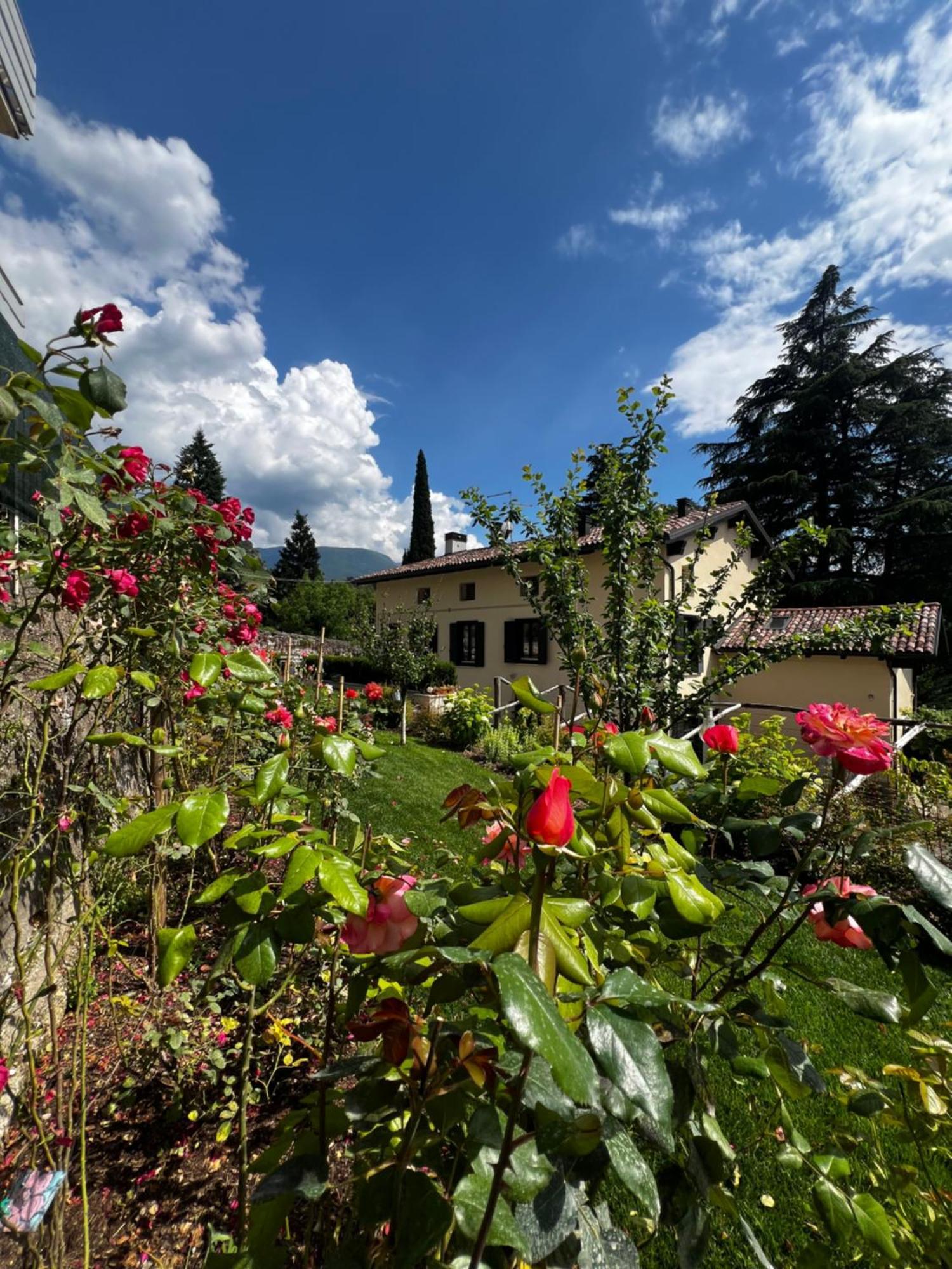 Bed & Breakfast Ca'rina